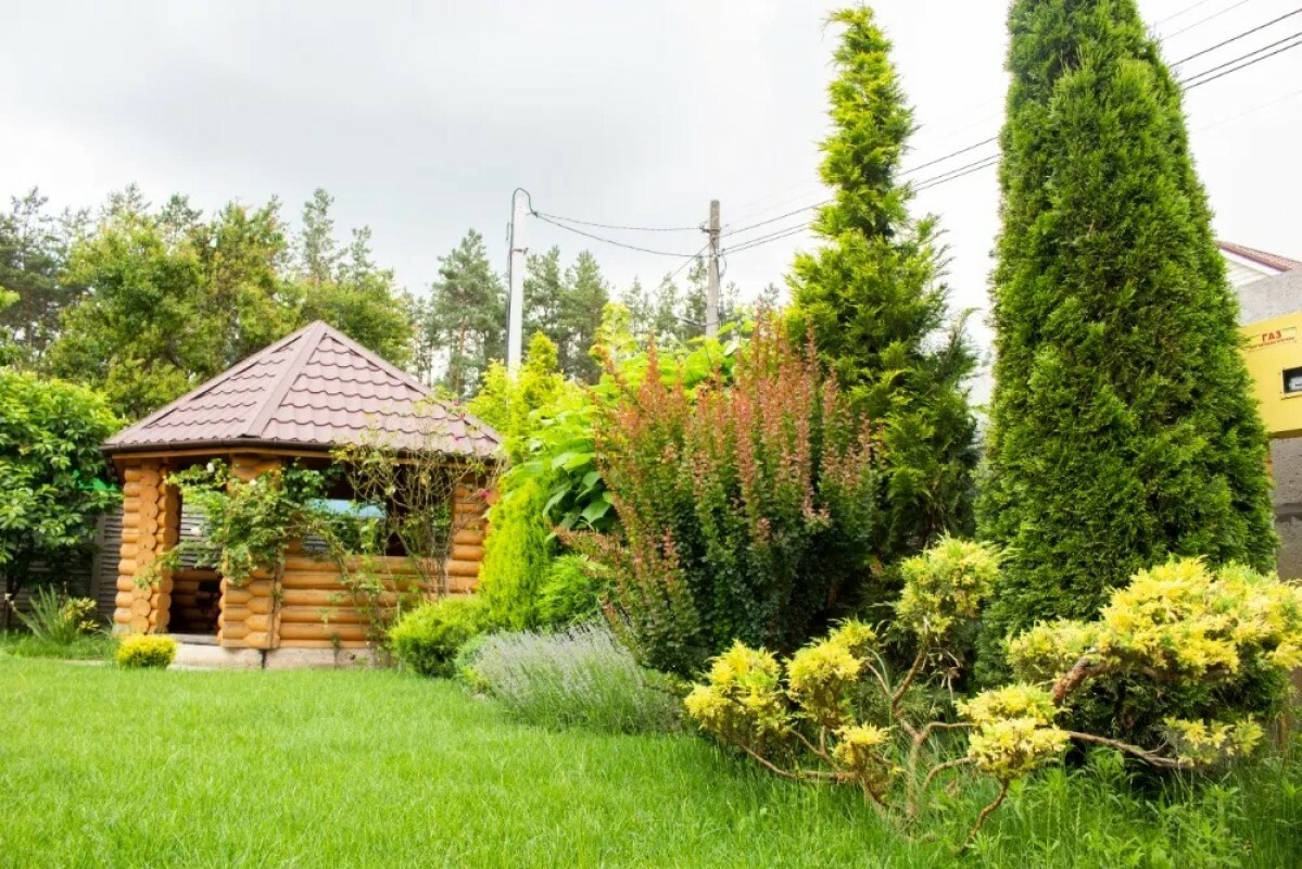 https://mytishchi.tgv-stroy.ru/storage/app/uploads/public/637/ef4/fb3/637ef4fb3605f391429275.png